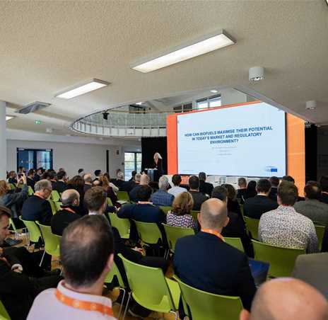 gallerythumbs0010VectorSmartObject